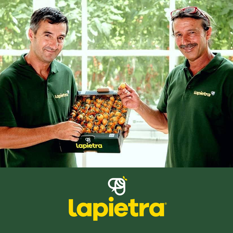 https://www.newbasketbrindisi.it/wp-content/uploads/2023/10/Match-Sponsor-LAPIETRA.png