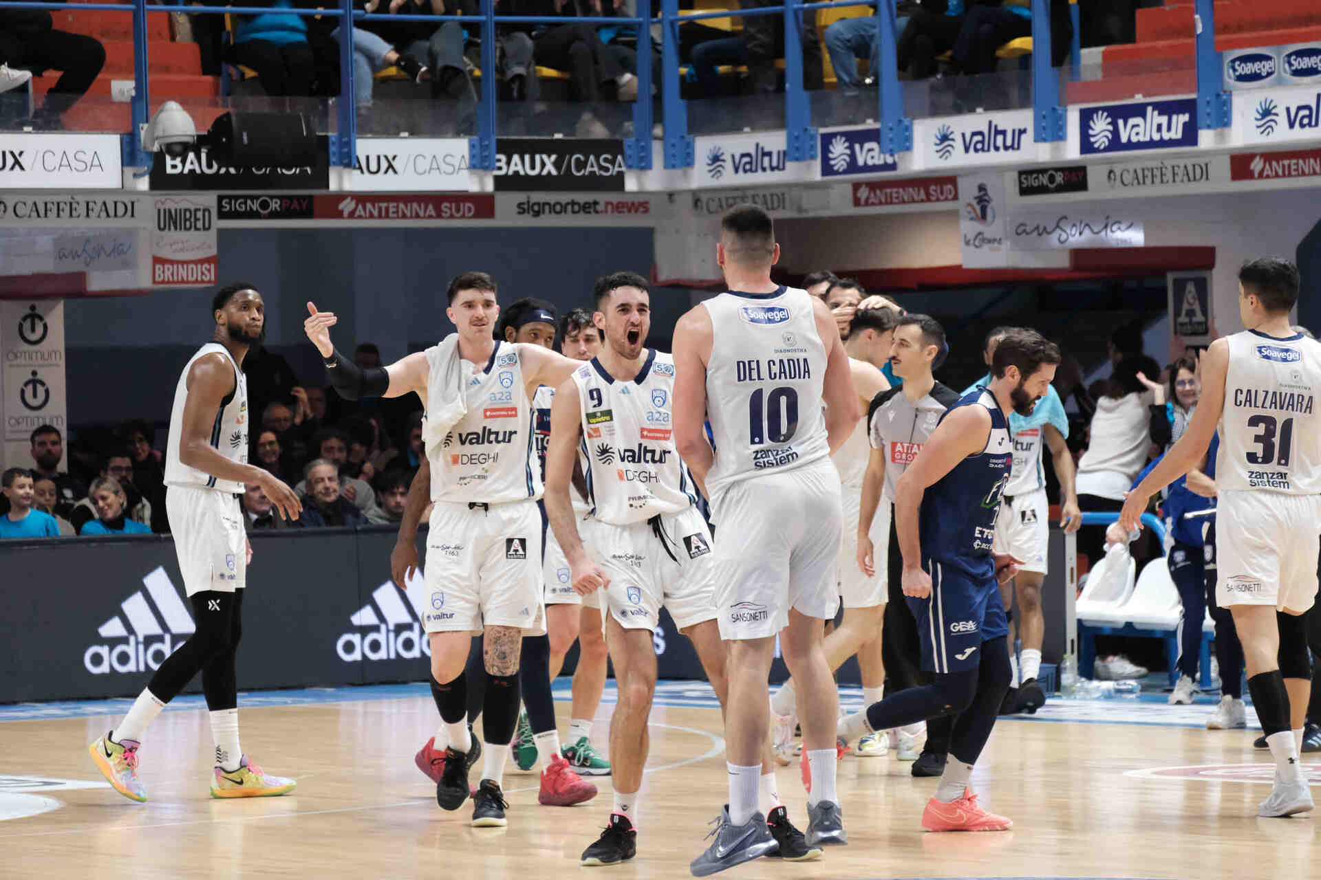 dove guardare new basket brindisi - rbr