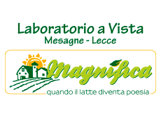 https://www.newbasketbrindisi.it/wp-content/uploads/2025/07/MAGNIFICA-MESAGNE-LECCE.png